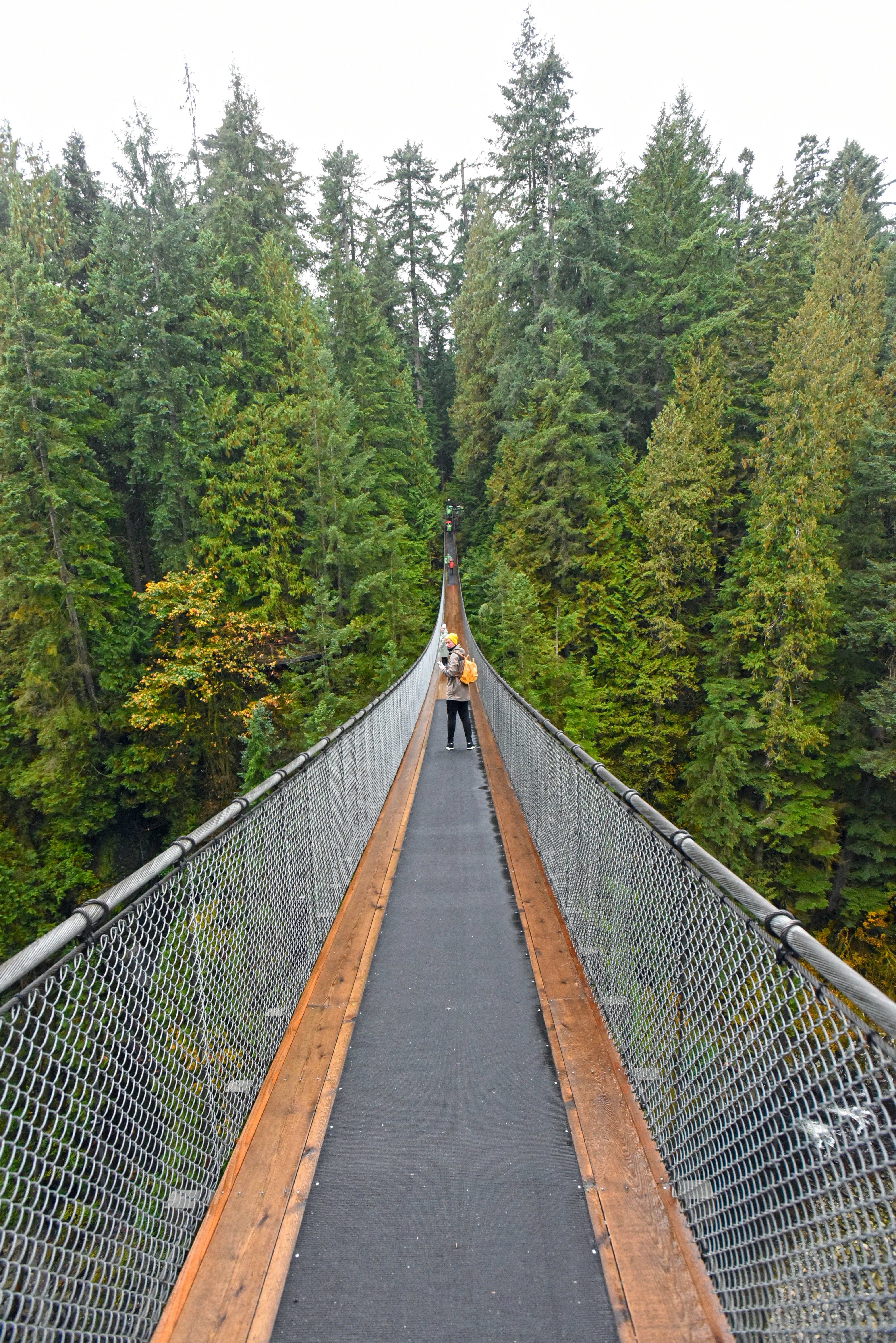 Capilano Suspension Bridge Park